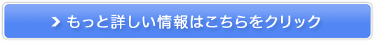 f̍ōy20000ppm nCubhH2T[o[WP-400z̔TCg